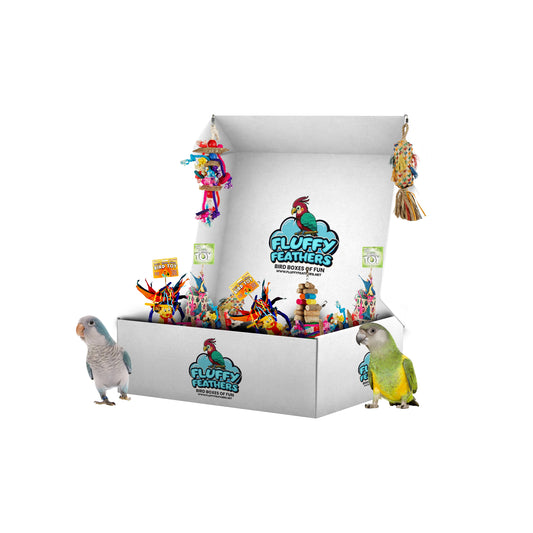 Medium Bird Toy Box - My Store